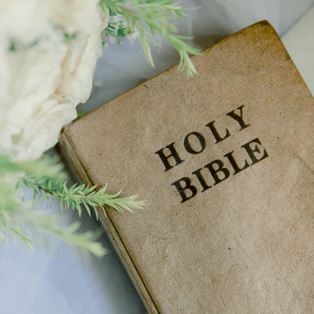 Holy Bible